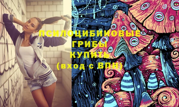 стафф Абинск