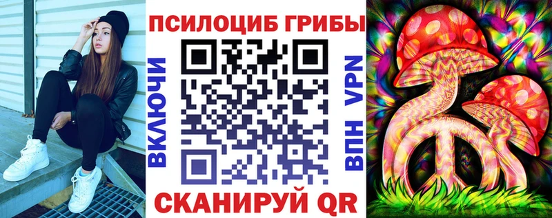 Псилоцибиновые грибы MAGIC MUSHROOMS  где найти   Прокопьевск 