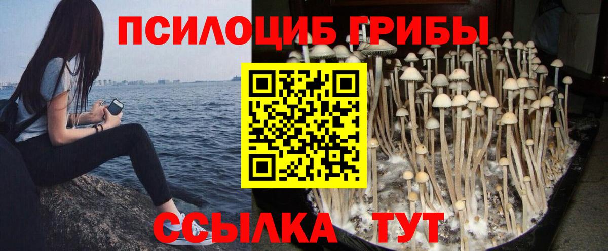 Прокопьевск  Галлюциногенные грибы Psilocybine cubensis  Вход с VPN  Псилоцибиновые грибы GOLDEN TEACHER 