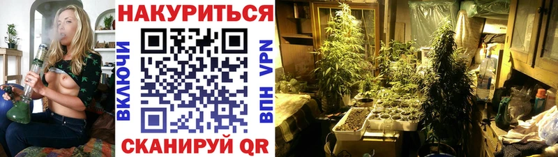 Шишки марихуана OG Kush  Прокопьевск 