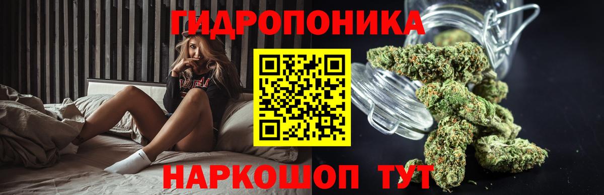Каннабис White Widow  Канабис Amnesia  Прокопьевск  Бошки марихуана LSD WEED  Вход с VPN 